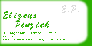 elizeus pinzich business card